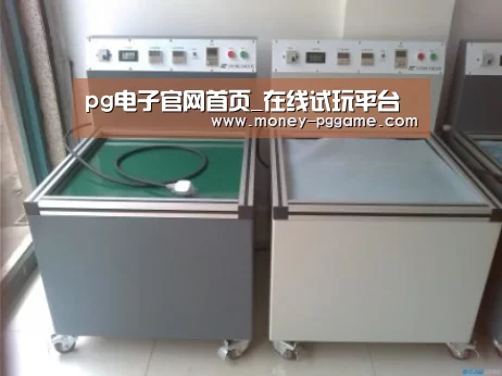PG Soft案例展示二