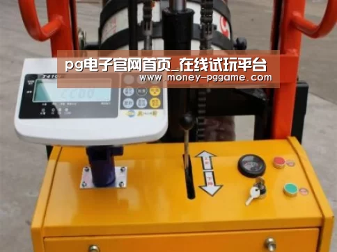 PG Soft案例展示三
