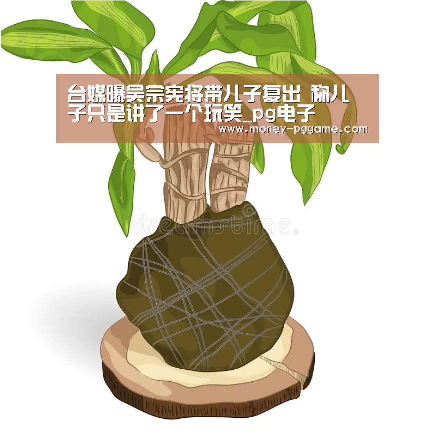 台媒曝吴宗宪将带儿子复出 称儿子只是讲了一个玩笑_pg电子(图2) pg电子游戏