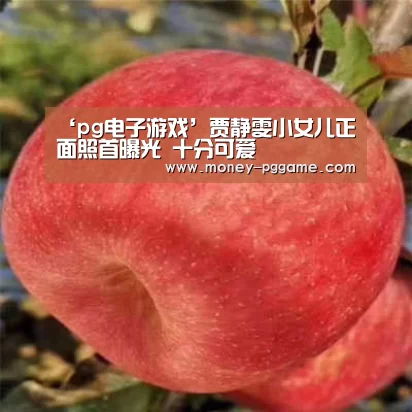 ‘pg电子游戏’贾静雯小女儿正面照首曝光 十分可爱(图2) pg电子游戏