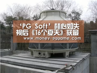 ‘PG Soft’林心如失视后《16个夏